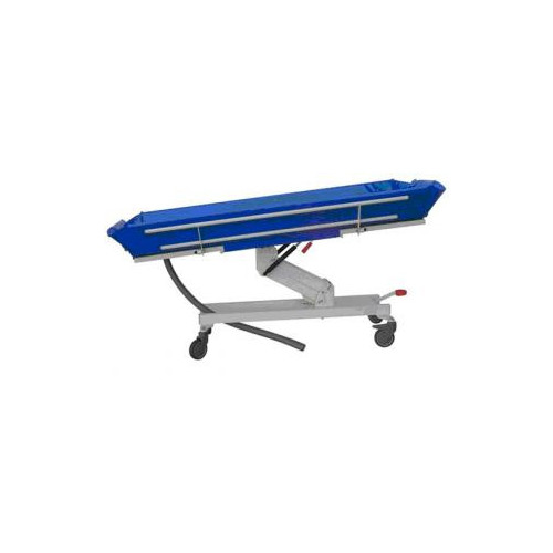 CARRO DE LAVADO ANTITRENDELEMBURG