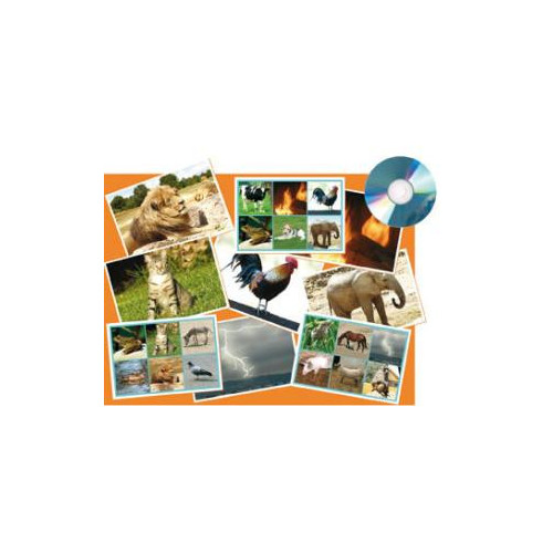 CD BINGO 25 SOUNDS-ANIMAL