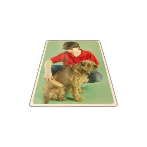 COLORCARDS: VERBOS BASICOS