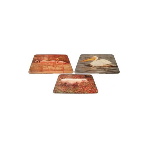 COLORLIBRARY: ANIMALES Y AVES