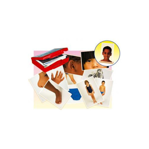 50 FOTOS CUERPO Y PRENDAS