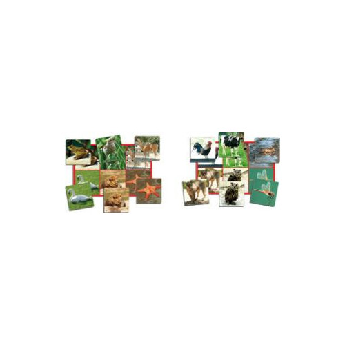 LOTO+PALABRAS: ANIMALES