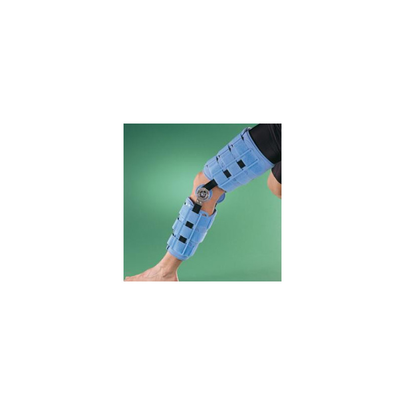 ESTAB. DE RODILLA CON CONTROL MOVIMIENTO