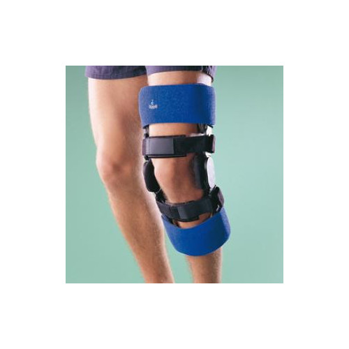 ESTAB. DE RODILLA EXCEL