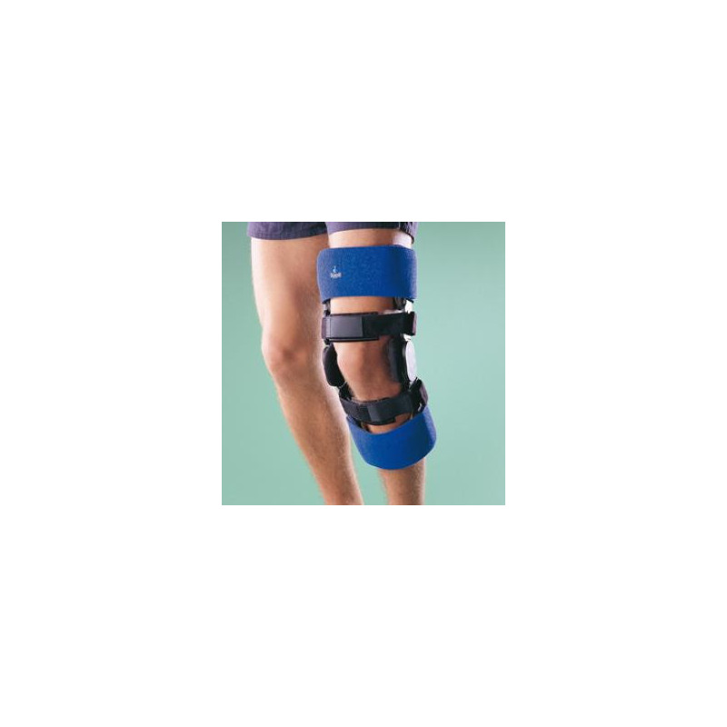 ESTAB. DE RODILLA EXCEL