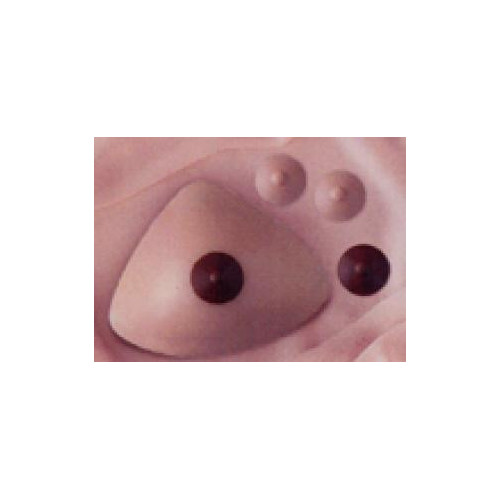 PEZONES DE SILICONA Y FUNDAS