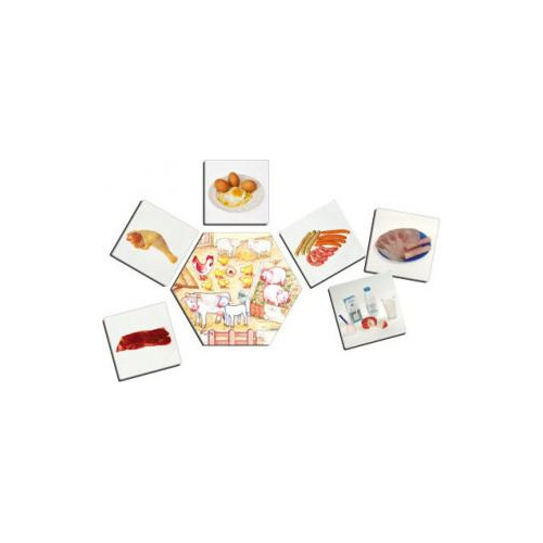 DE DÓNDE VIENEN LOS ALIMENTOS