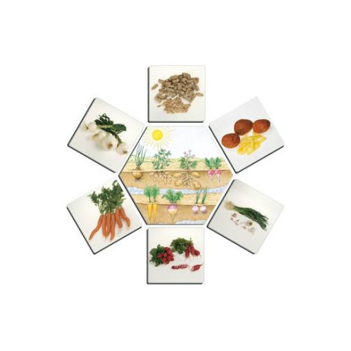 DE DÓNDE VIENEN LOS ALIMENTOS