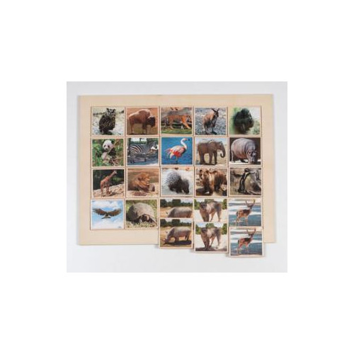 LOTO ANIMALES SALVAJES