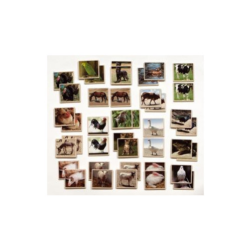 MEMO FOTO ANIMALES GRANJA