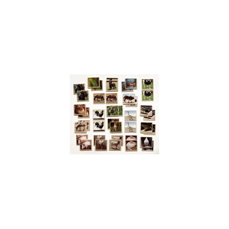 MEMO FOTO ANIMALES GRANJA