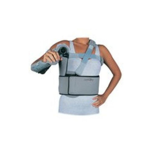 INMOV.EESS "S.C.O.I."