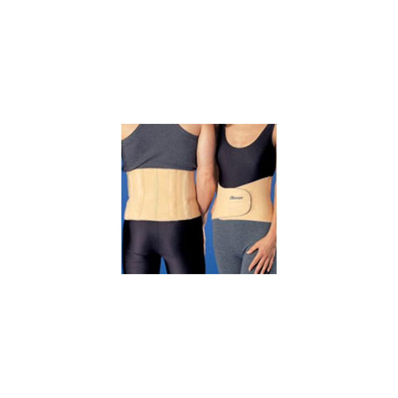 FAJA LUMBOSACRA ANATOMICA
